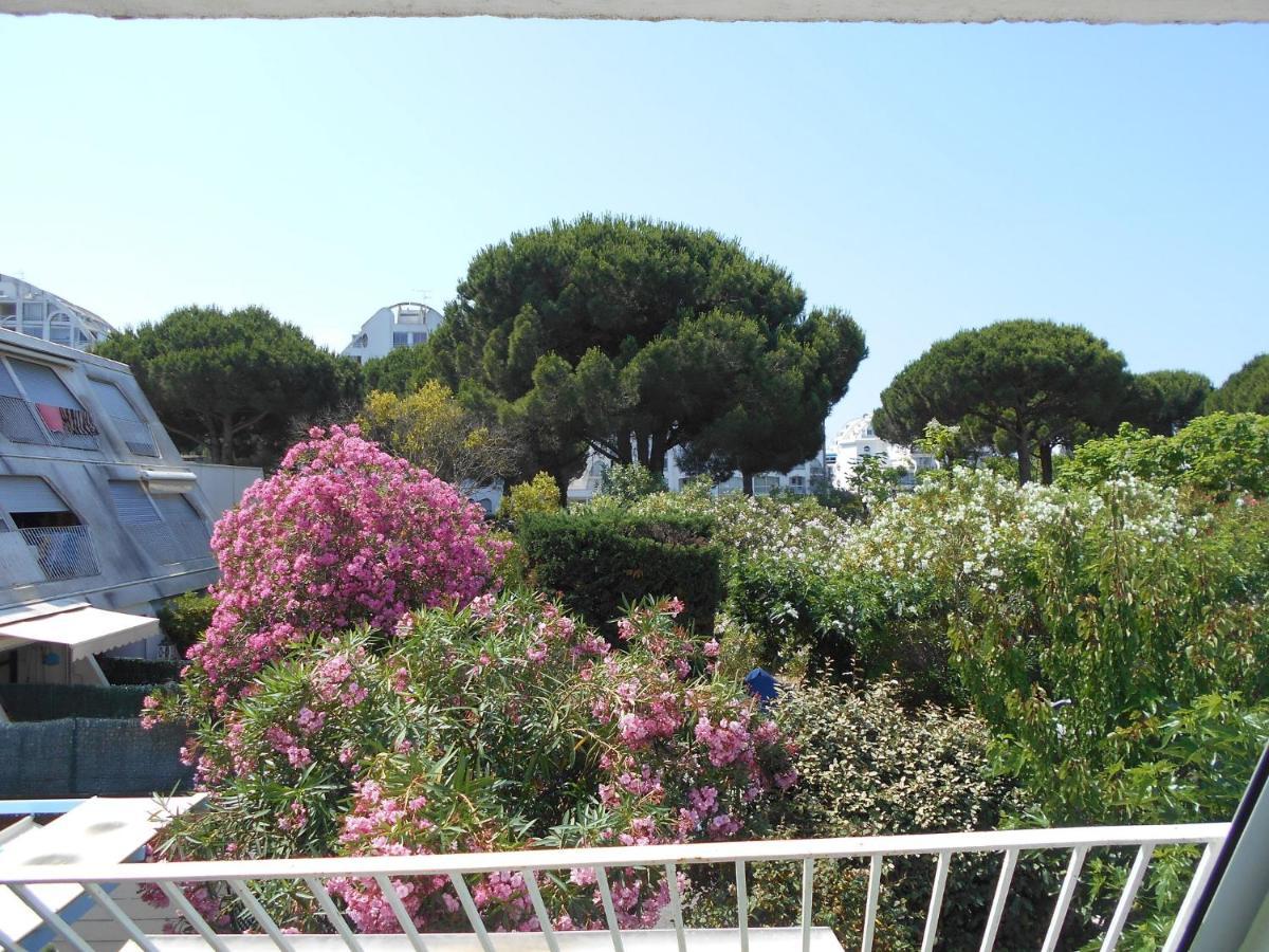 לה גרנד מוט Vittoria Immobilier 8 - Reglement Sur Place - Cheques Vacances Acceptes מראה חיצוני תמונה